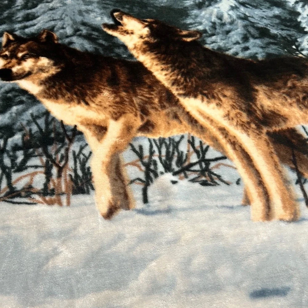 James Hautman trim snowy